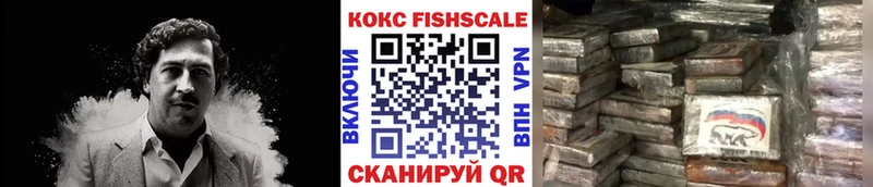 Cocaine Fish Scale Зеленогорск