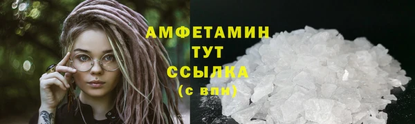 гашик Дмитровск