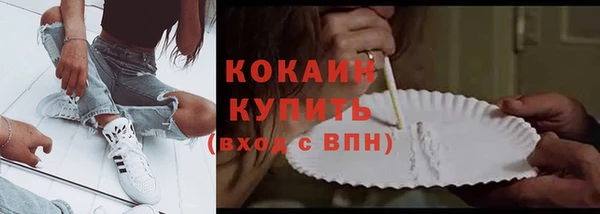 гашик Дмитровск
