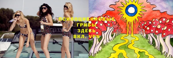 гидра Дмитриев