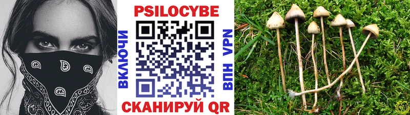 где купить наркоту Зеленогорск Галлюциногенные грибы GOLDEN TEACHER