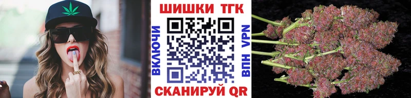 купить наркотик  Зеленогорск  Конопля сатива 